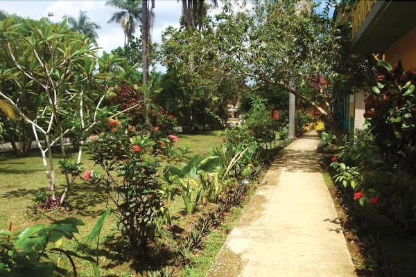 Hotel Pure Garden Resort Negril (Whitehall)